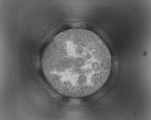 X0000115550469200912181557