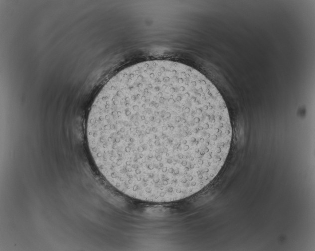 X0000115550470200912181557