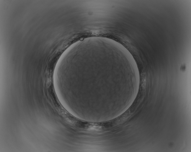 X0000115550471200912181557