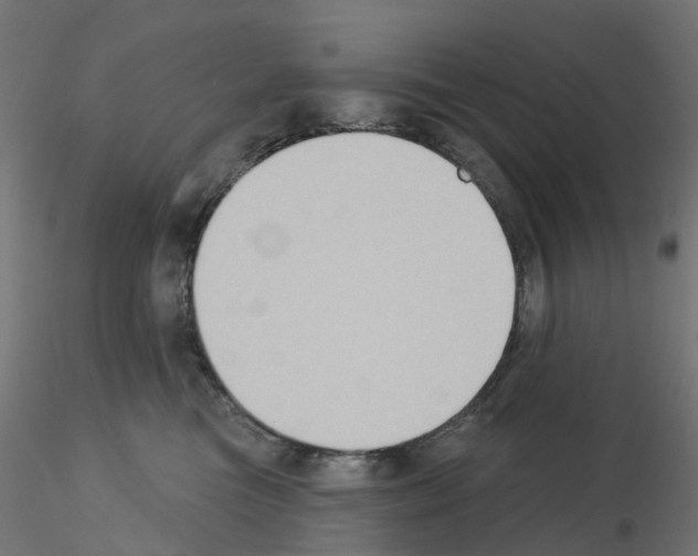 X0000115550473200912181557