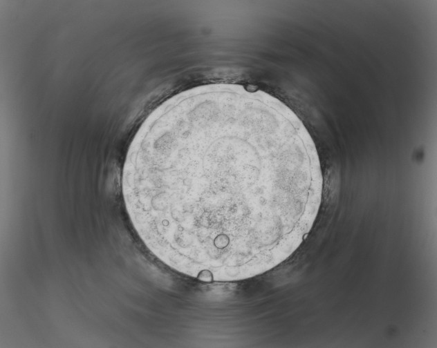 X0000115550474200912181557