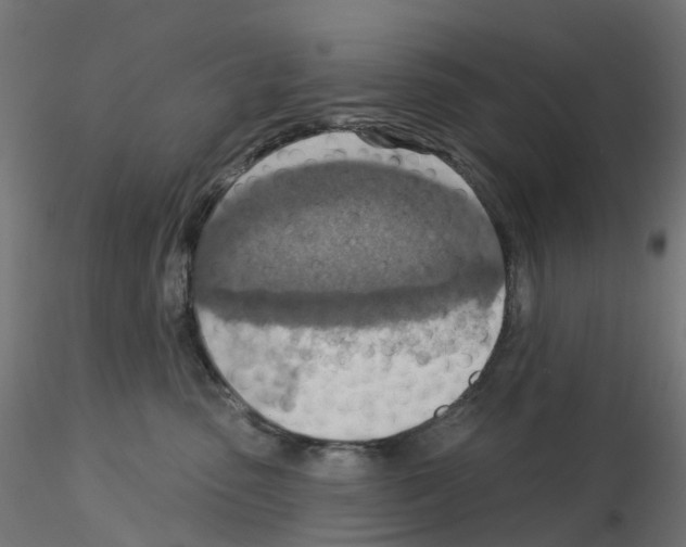 X0000115550475200912181557