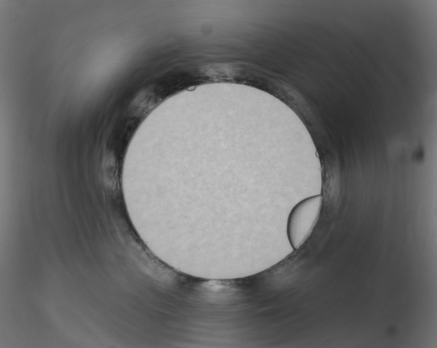 X0000115550477200912181557