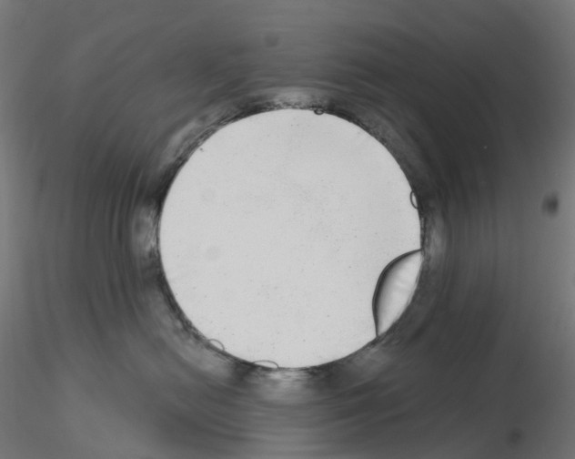 X0000115550478200912181557