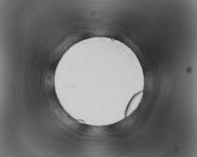 X0000115550479200912181557