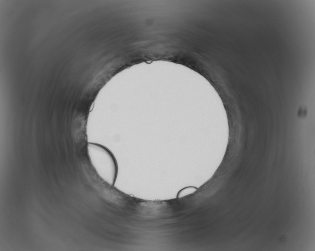 X0000115550480200912181557