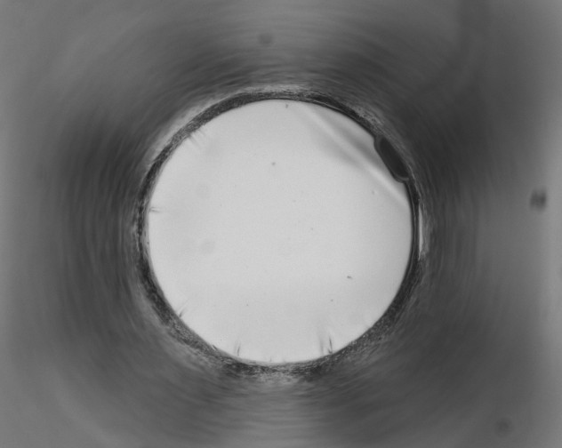 X0000115550483200912181556