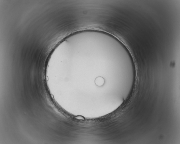 X0000115550485200912181556