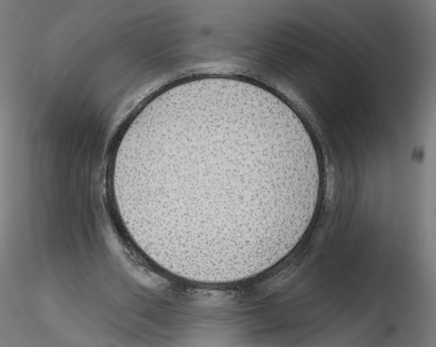 X0000115550486200912181556