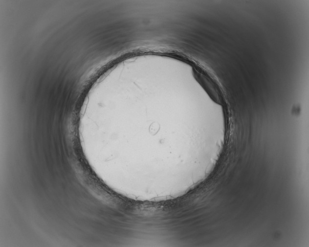 X0000115550487200912181556