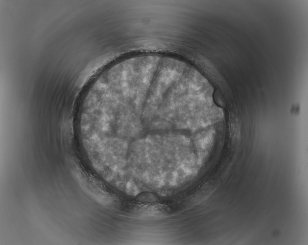 X0000115550488200912181556