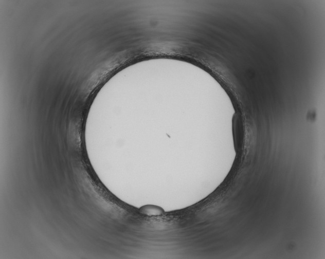 X0000115550489200912181556