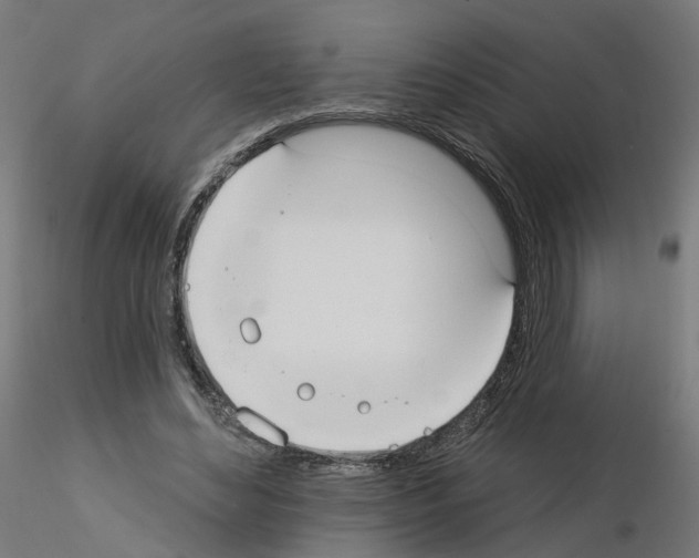 X0000115550492200912181556