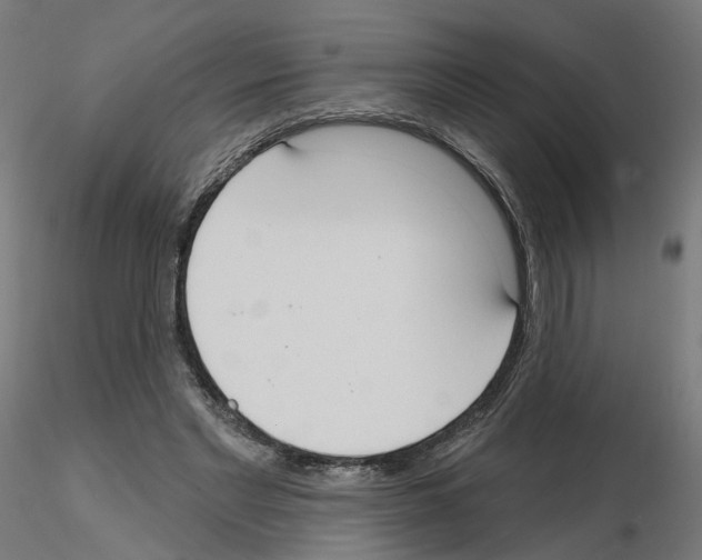 X0000115550493200912181556