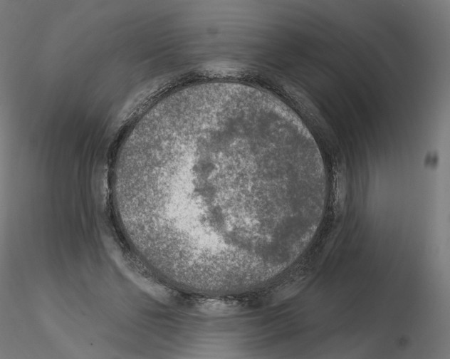 X0000115550494200912181556