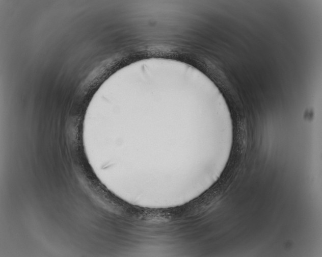 X0000115550495200912181556