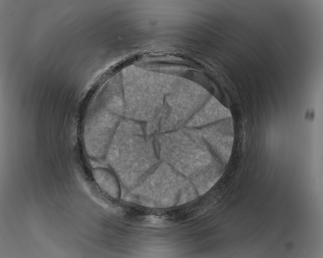 X0000115550496200912181556