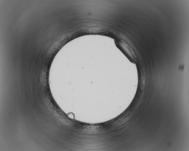 X0000115550497200912181556