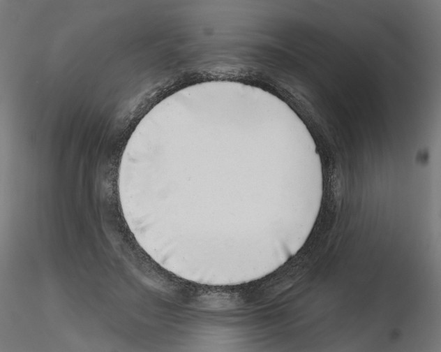 X0000115550499200912181556