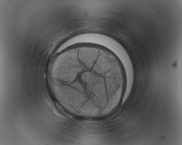 X0000115550500200912181556