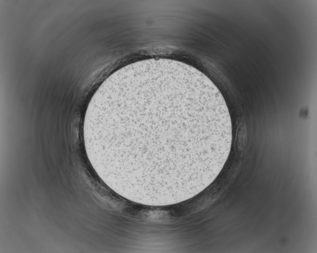 X0000115550501200912181556