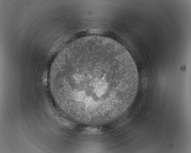 X0000115550502200912181556