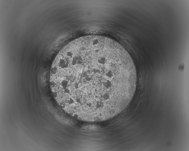 X0000115550503200912181556