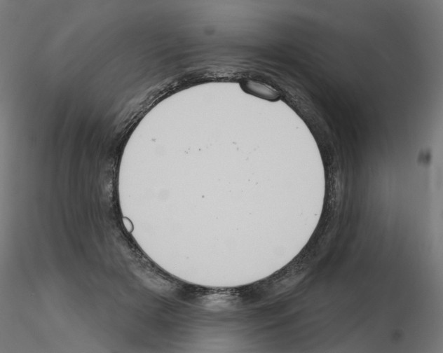 X0000115550505200912181556