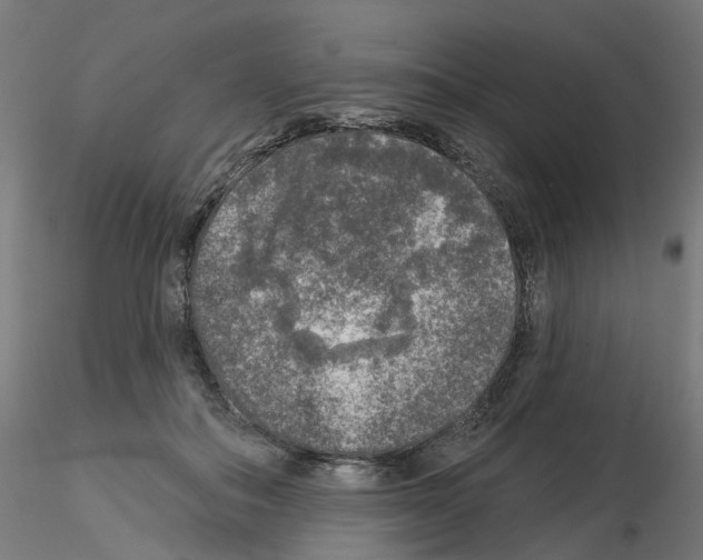 X0000115550506200912181556