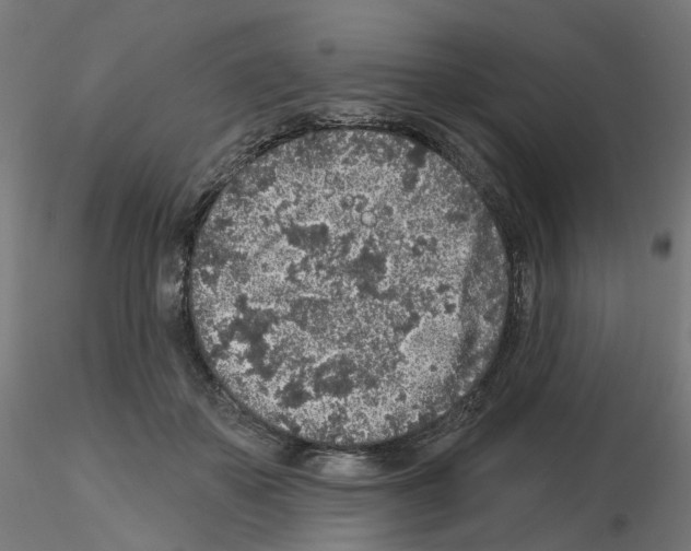 X0000115550507200912181556