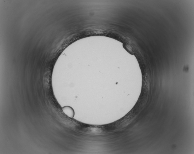 X0000115550509200912181556