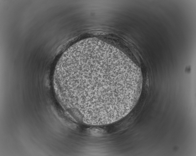 X0000115550512200912181556