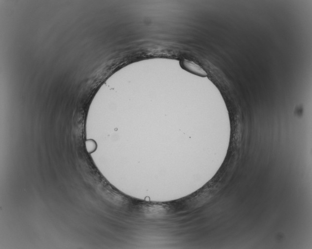 X0000115550513200912181556