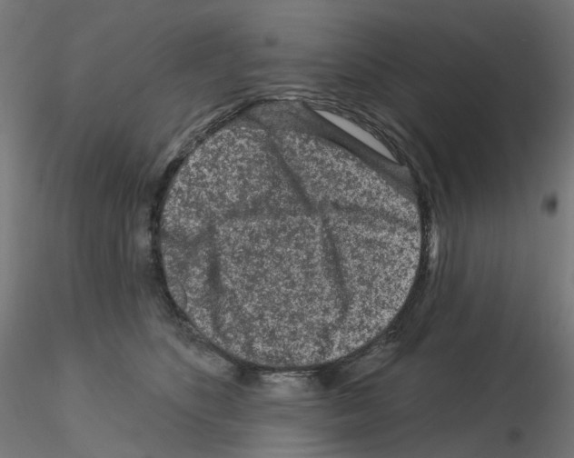 X0000115550516200912181556