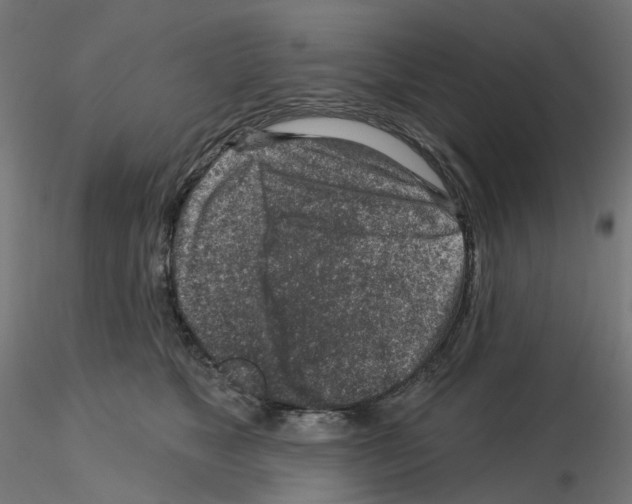 X0000115550517200912181556