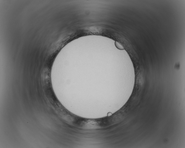 X0000115550518200912181556