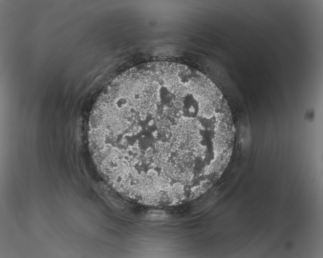 X0000115550519200912181556