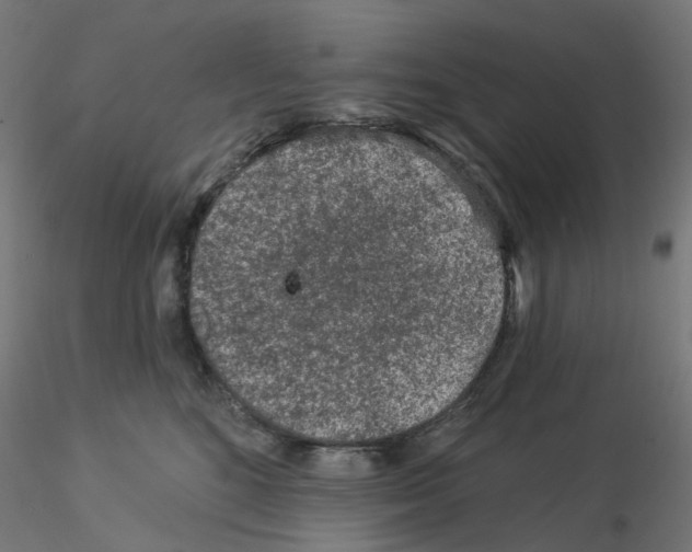 X0000115550520200912181556