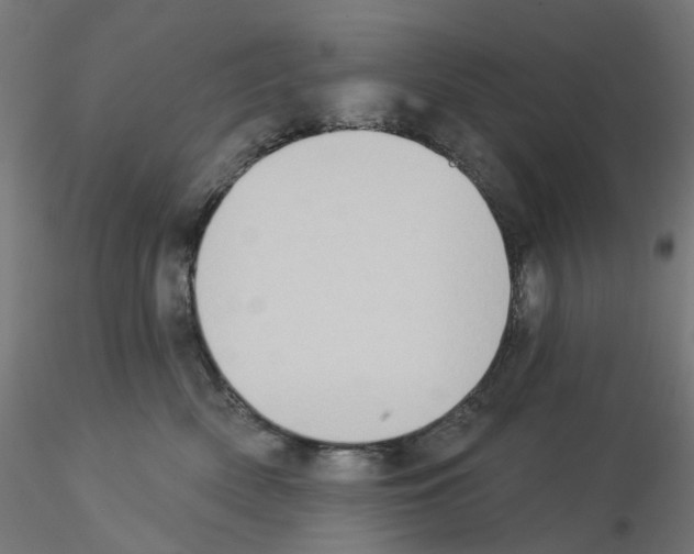 X0000115550522200912181556