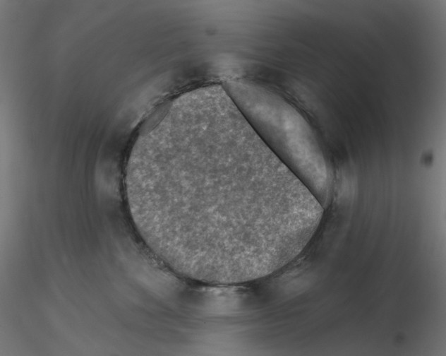 X0000115550524200912181556