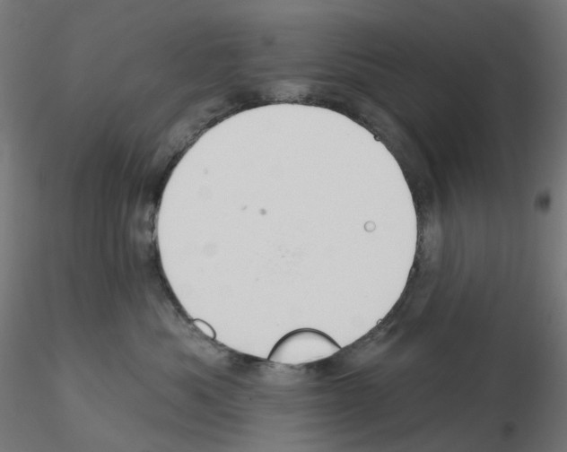 X0000115550525200912181556