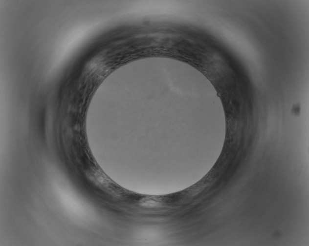 X0000115550526200912181556