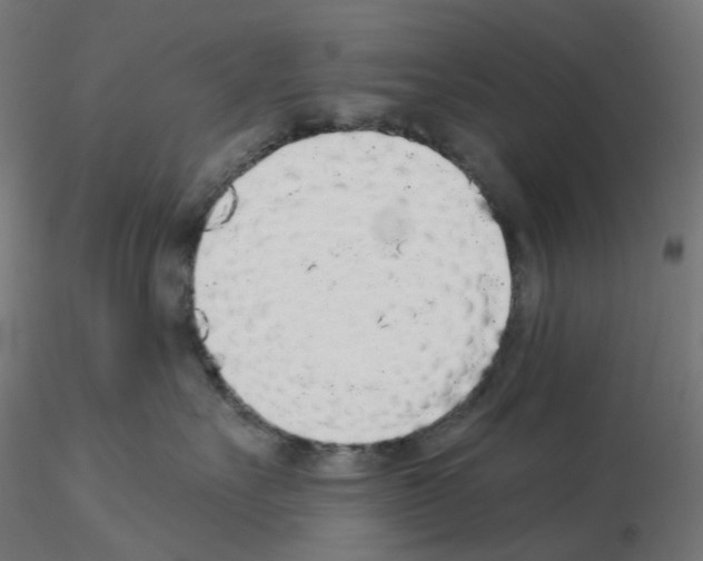 X0000115550527200912181556