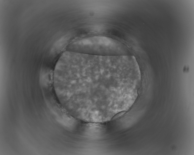 X0000115550528200912181556