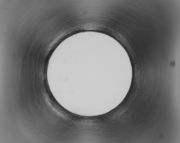 X0000115550530200912181555