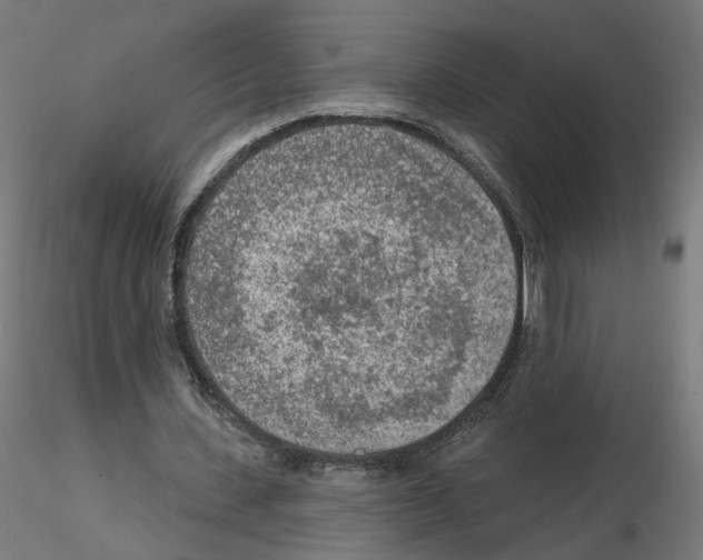 X0000115550531200912181555