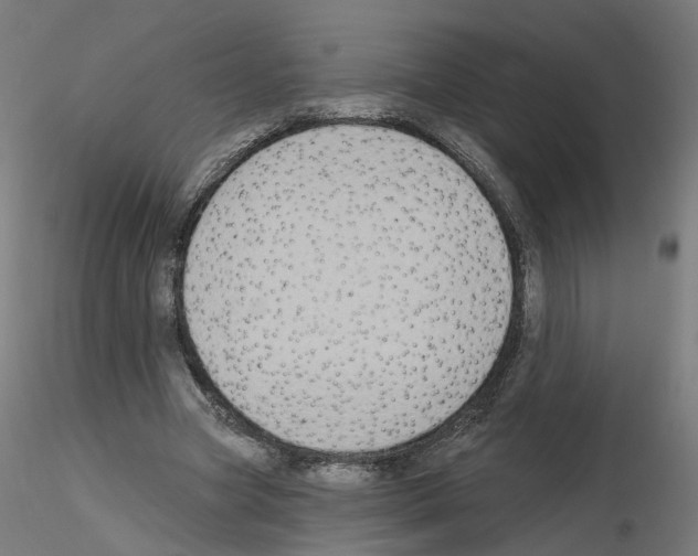 X0000115550537200912181555