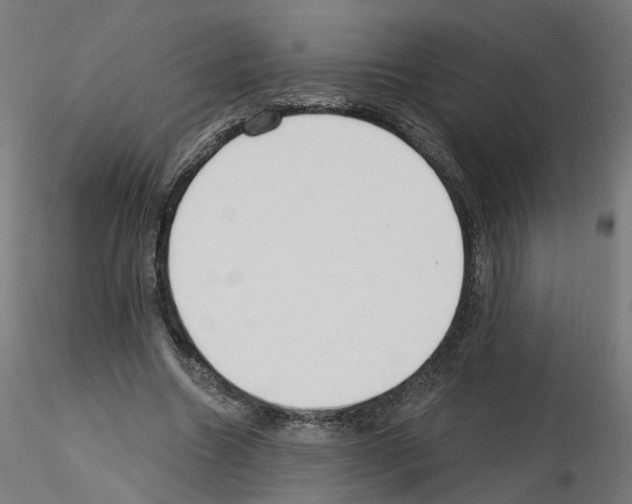 X0000115550538200912181555