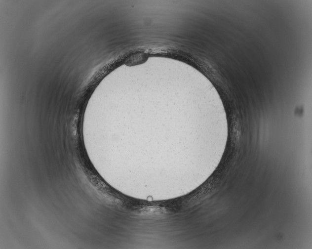 X0000115550543200912181555