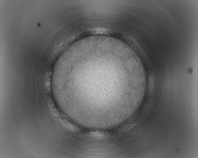 X0000115550545200912181555